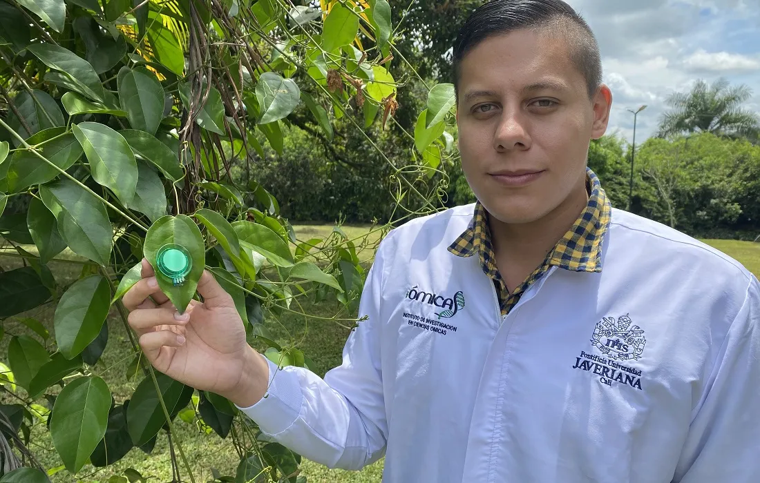 Estudiante de doctorado creó un sensor para medir la producción de glucosa molecular en plantas Estudiante de doctorado creó un sensor para medir la producción de glucosa molecular en plantas