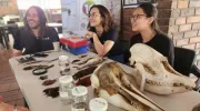 Programa de Biología recibió la Acreditación de Alta Calidad por seis años Programa de Biología recibió la Acreditación de Alta Calidad por seis años