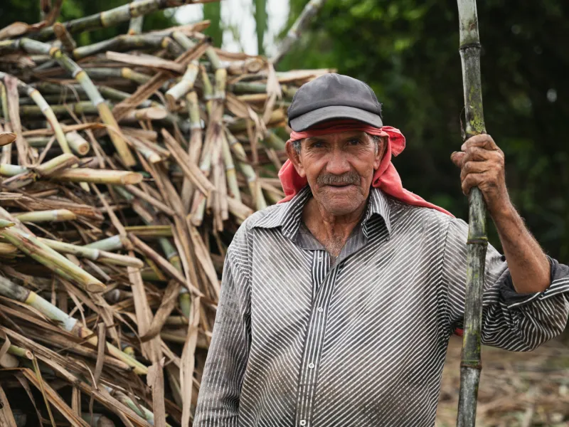 fortalecer las economías propias